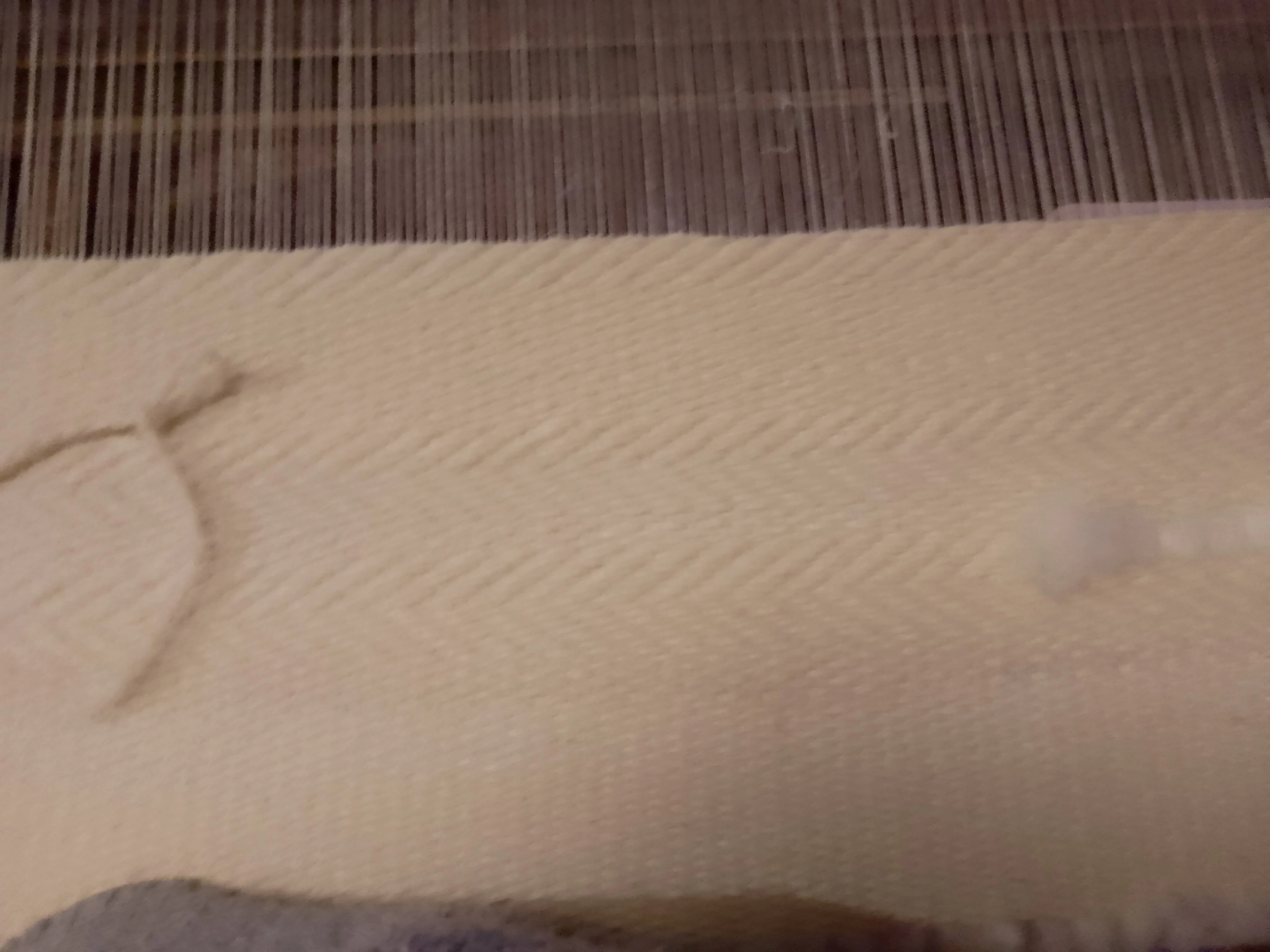 Img 20251120 174644 3 